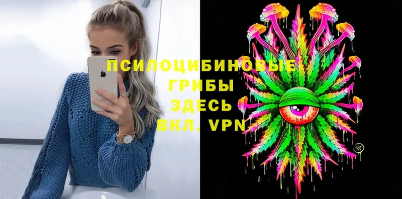 OMG tor  shop состав  Галлюциногенные грибы Psilocybe  Старая Русса 